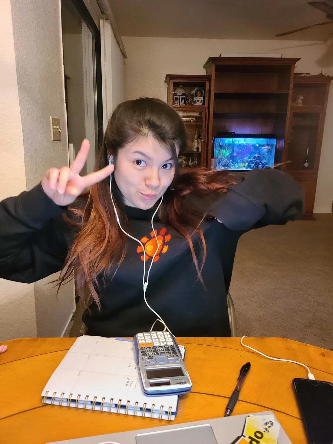 What does it mean to be an Official Volunteer?